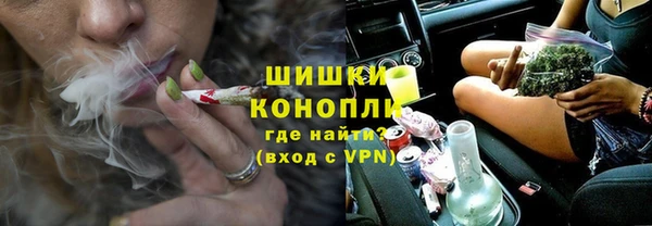 гидра Богородицк