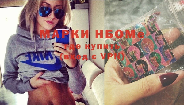 гидра Богородицк