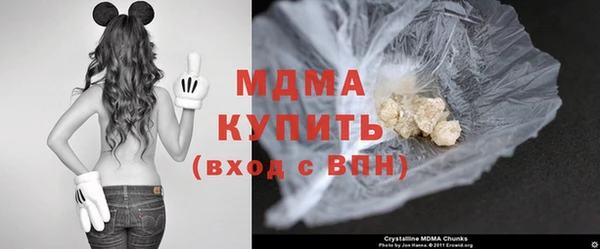 гидра Богородицк