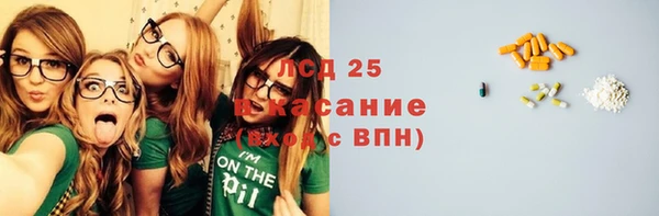 ПСИЛОЦИБИНОВЫЕ ГРИБЫ Богданович