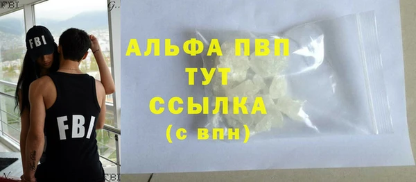 гидра Богородицк