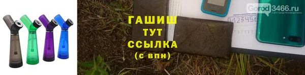 ПСИЛОЦИБИНОВЫЕ ГРИБЫ Богданович
