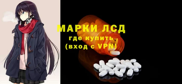 ПСИЛОЦИБИНОВЫЕ ГРИБЫ Богданович