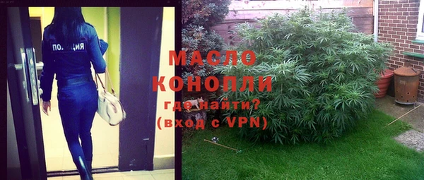 гидра Богородицк