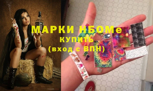 гидра Богородицк