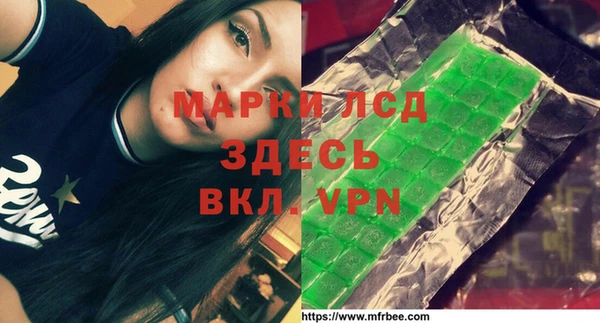 ПСИЛОЦИБИНОВЫЕ ГРИБЫ Богданович
