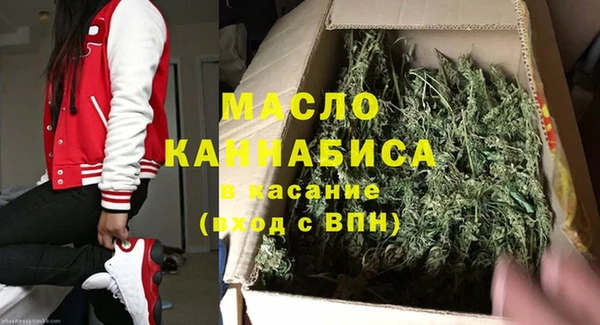 гидра Богородицк