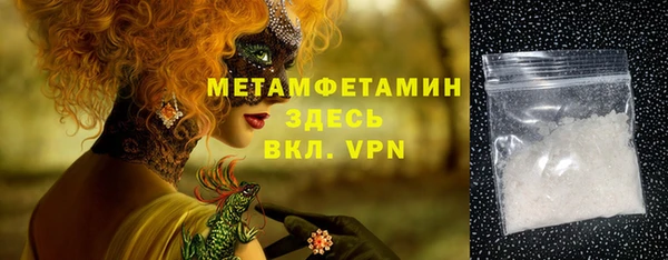 гидра Богородицк
