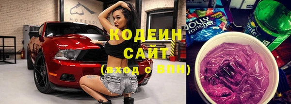 гидра Богородицк