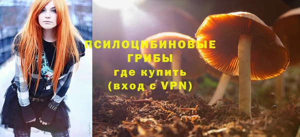 гидра Богородицк