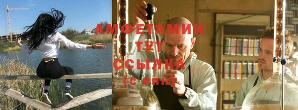 гидра Богородицк