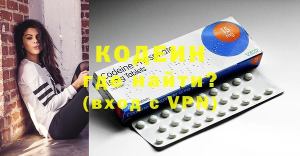 ПСИЛОЦИБИНОВЫЕ ГРИБЫ Богданович