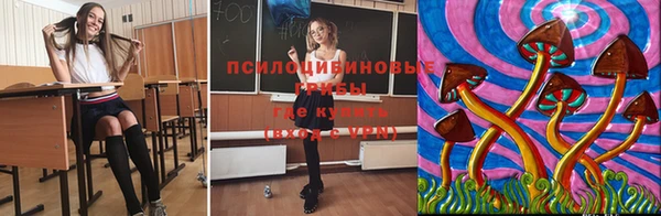 ПСИЛОЦИБИНОВЫЕ ГРИБЫ Богданович