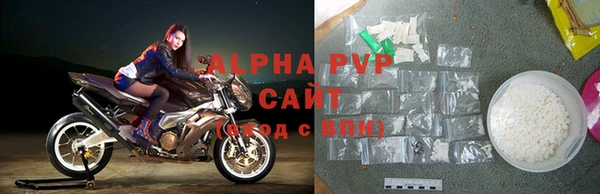 ПСИЛОЦИБИНОВЫЕ ГРИБЫ Богданович